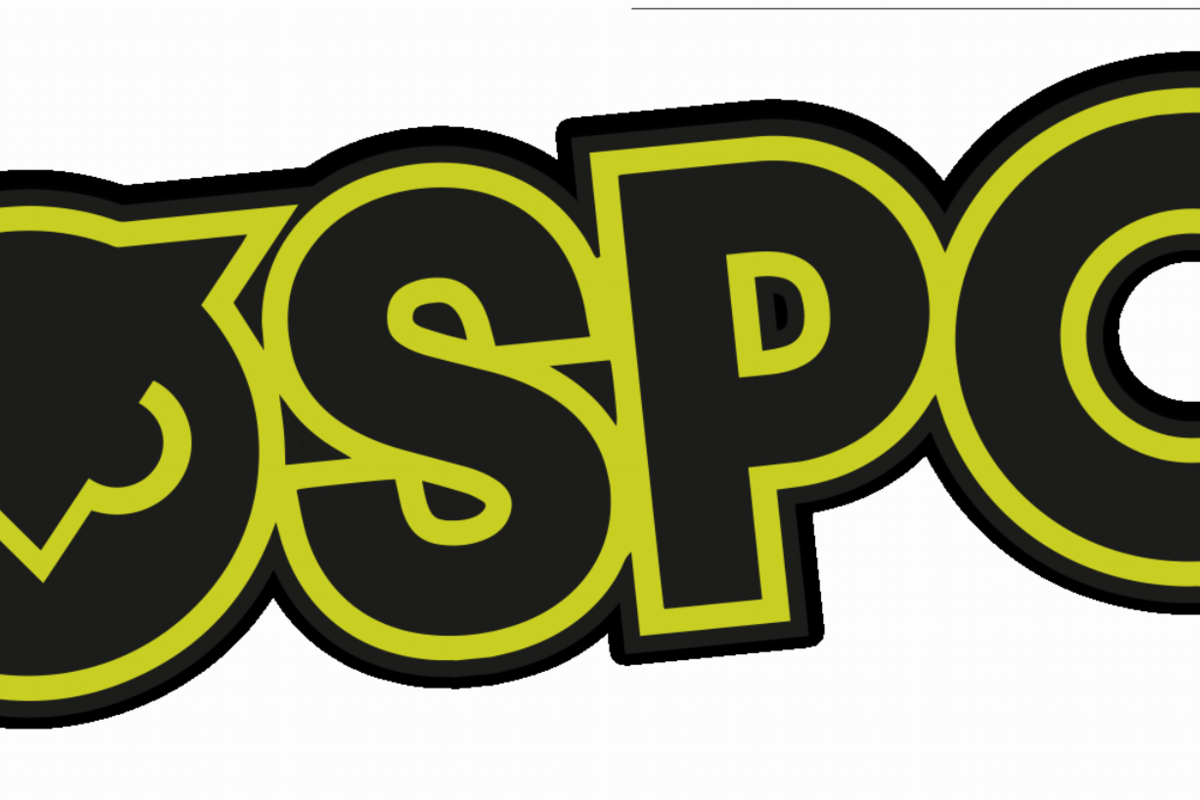 Nieuwe namen voor Bospop 2024