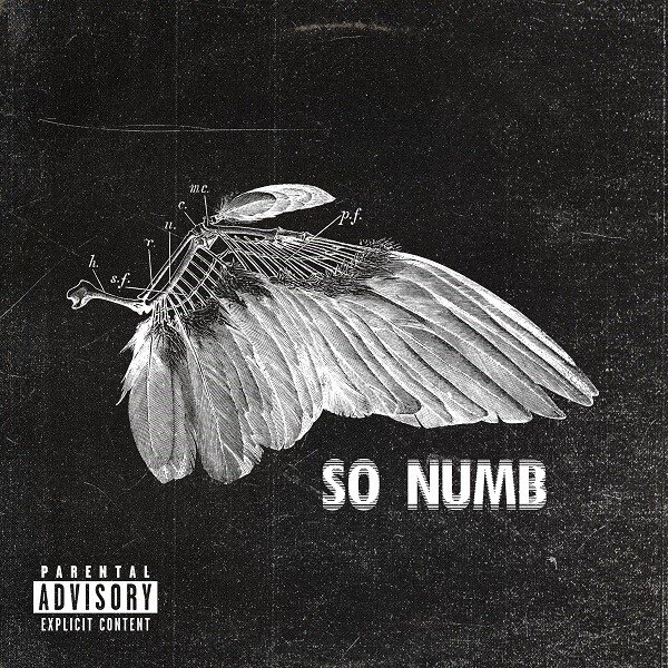 TX2 Unveils Harrowing New Track “So Numb”