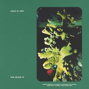 Jungle by Night releases Tone Melisse