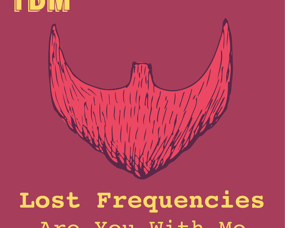Lost Frequencies’ ‘Are You With Me’ Surpasses One Billion Streams On Spotify