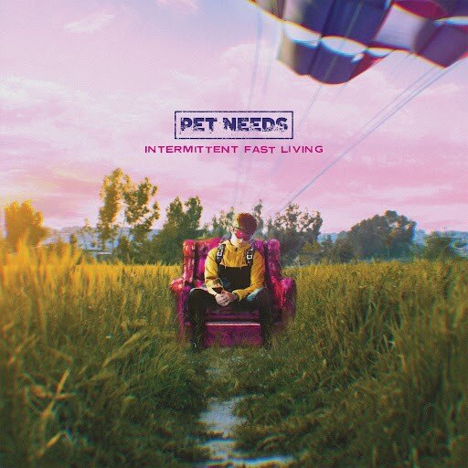 Pet Needs Share "Trip" Video || Ahead of April UK Tour