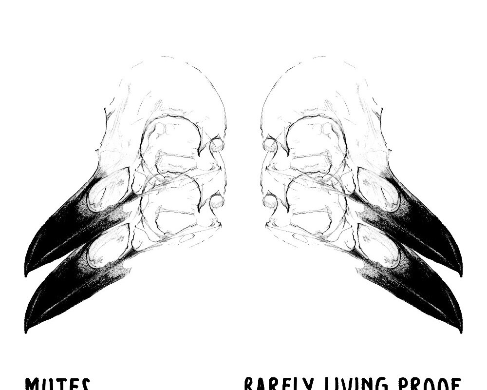 Mutes release new single 'Barely Living Proof' ahead of fourth studio album '...buried where you stand'