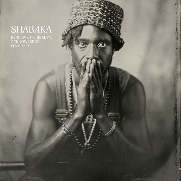 A Reintroduction to Shabaka Hutchings: Perceive its Beauty, Acknowledge its Grace