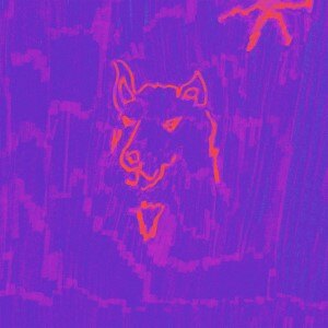 Dehd releases Poetry