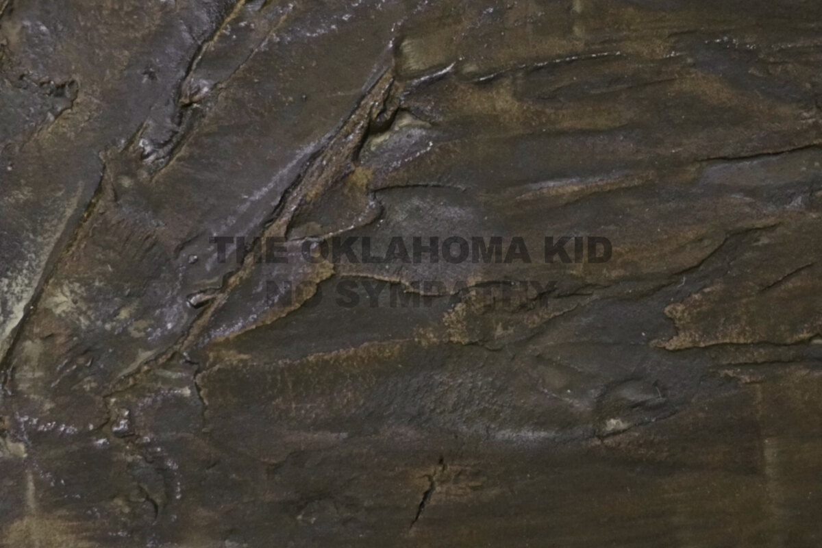 The Oklahoma Kid releases new single!