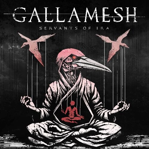 Gallamesh releases single/video Servants of Ira