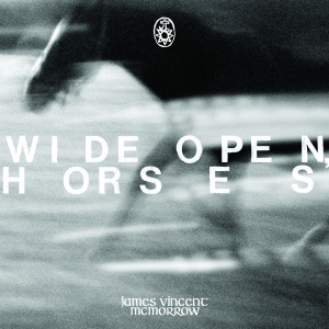 James Vincent McMorrow - Wide open, horses
