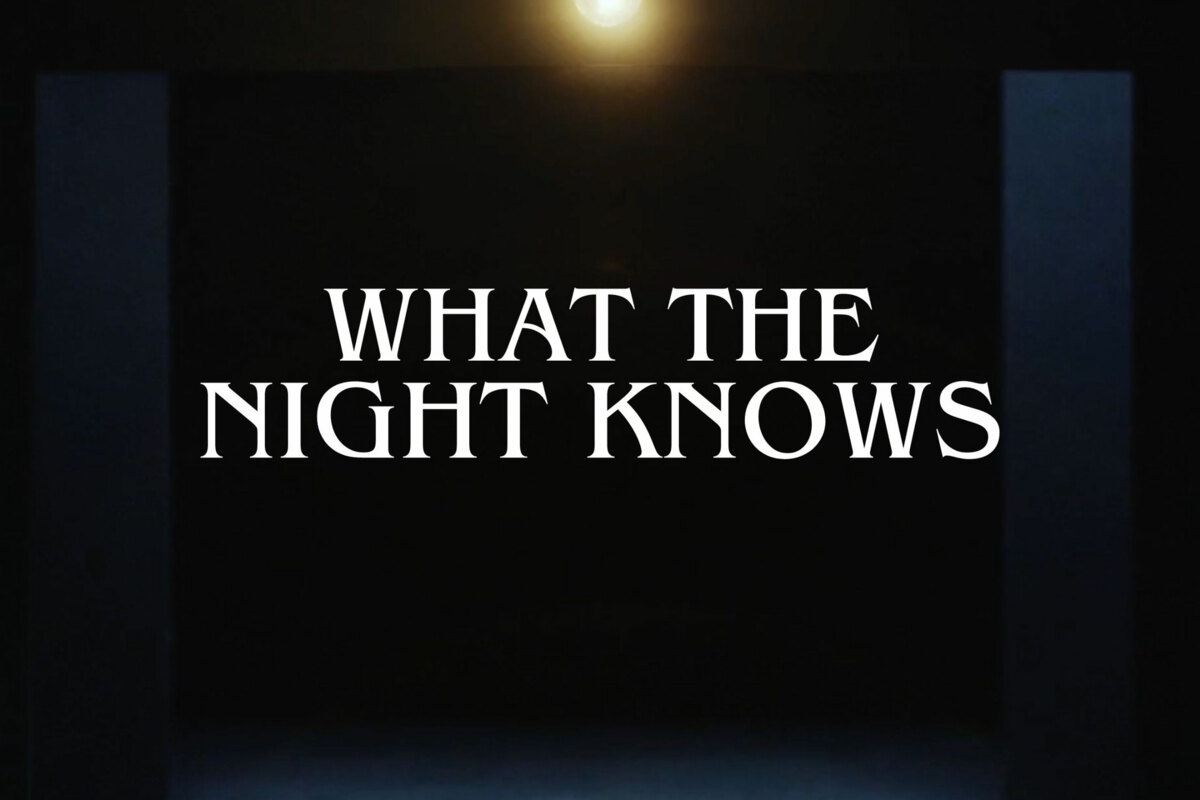 Multi-instrumentalist singer songwriter Bird is releasing her evocative new single 'What The Night Knows’