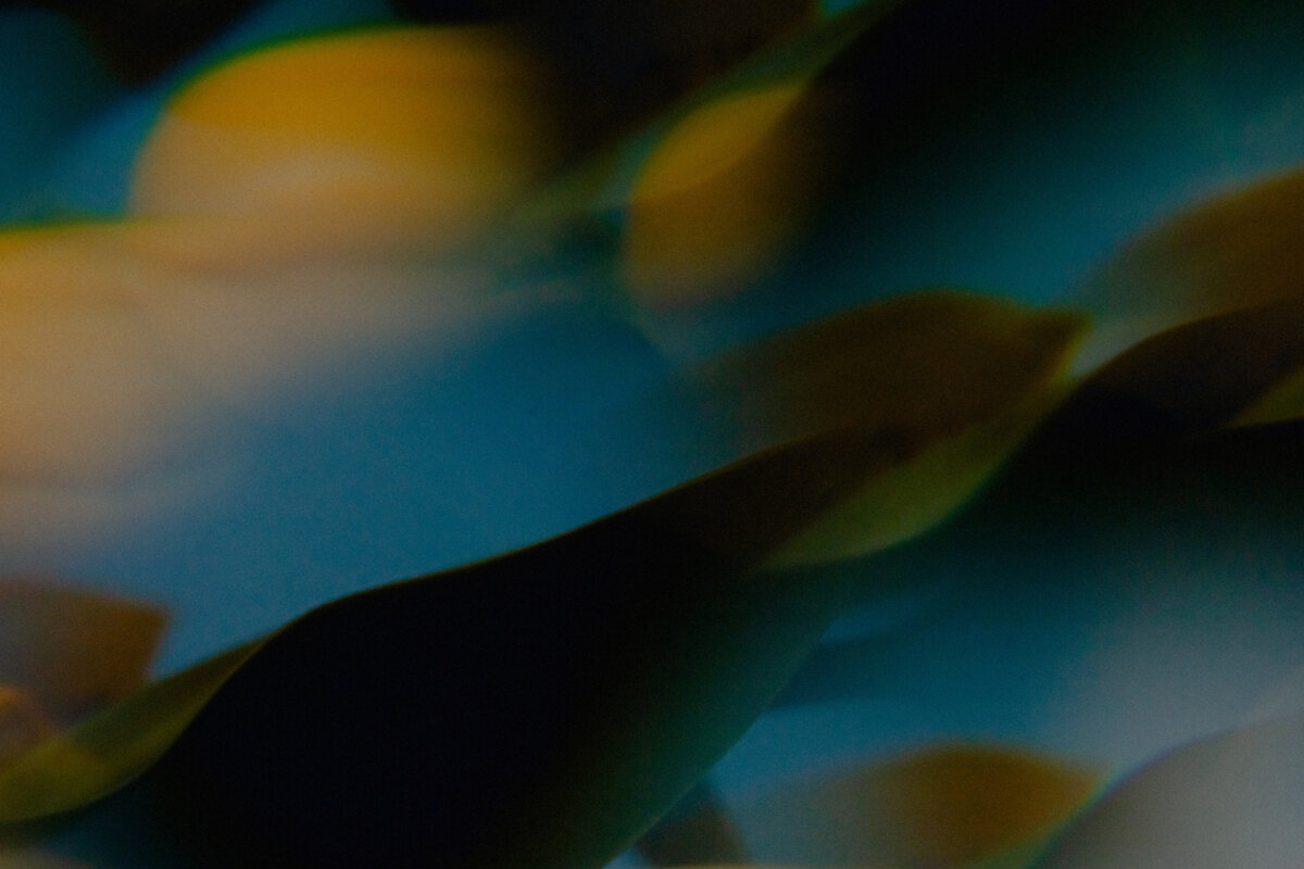 Ben Böhmer Links with Lykke Li on New Single “Hiding”