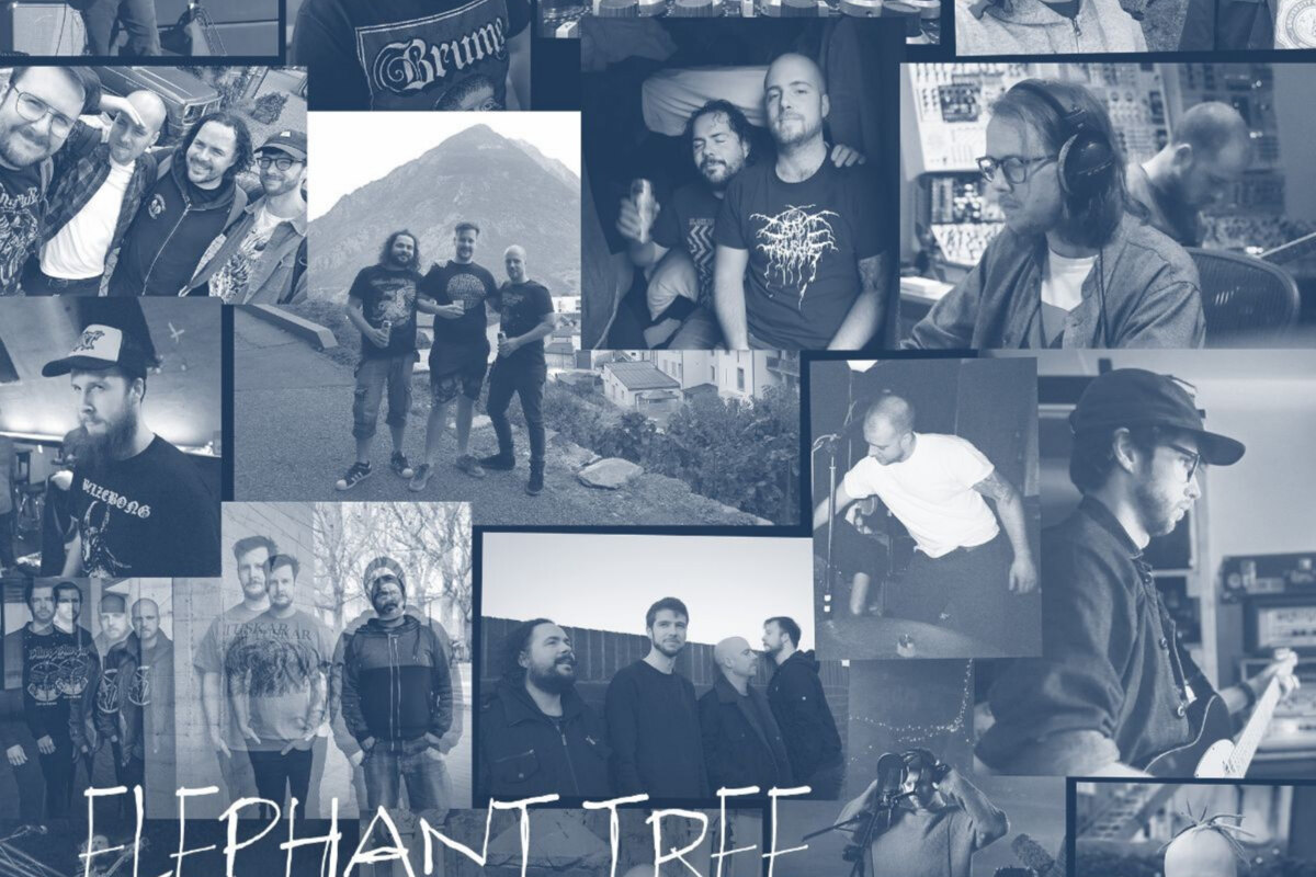 Elephant Tree release new single 'Visions