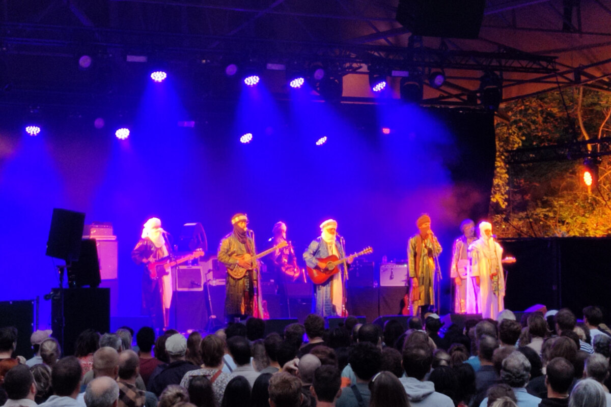 Tinariwen zorgt voor de kracht van woestijnblues in het OLT