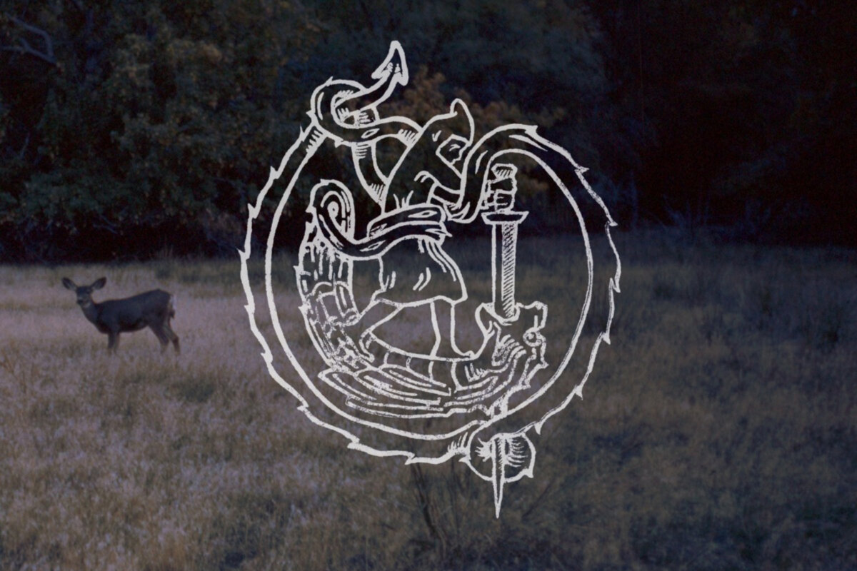 Searows single and tour announcement?