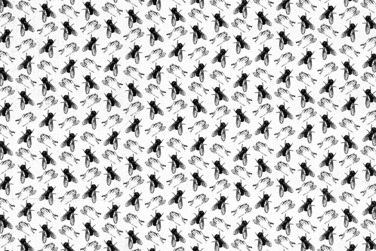 Itches deelt debuutplaat Two Flies In One Clap