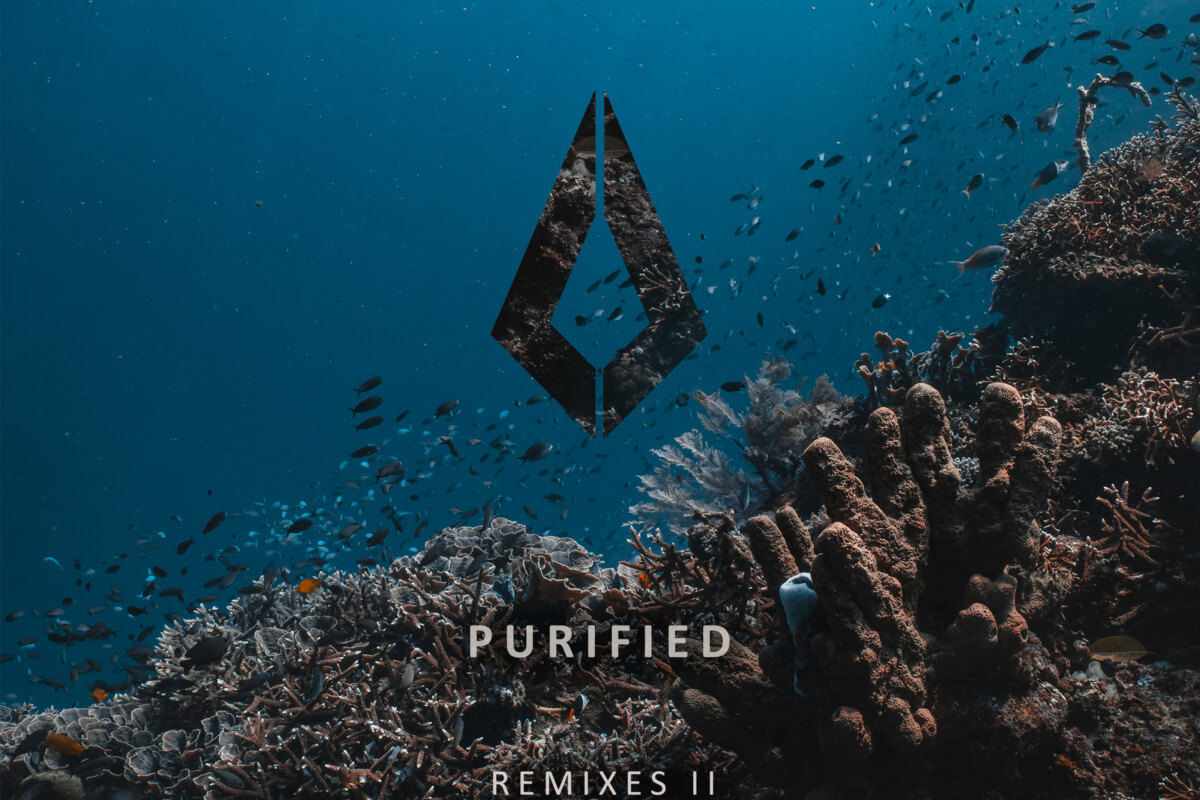 Purified Records Presents Remixes II Compilation