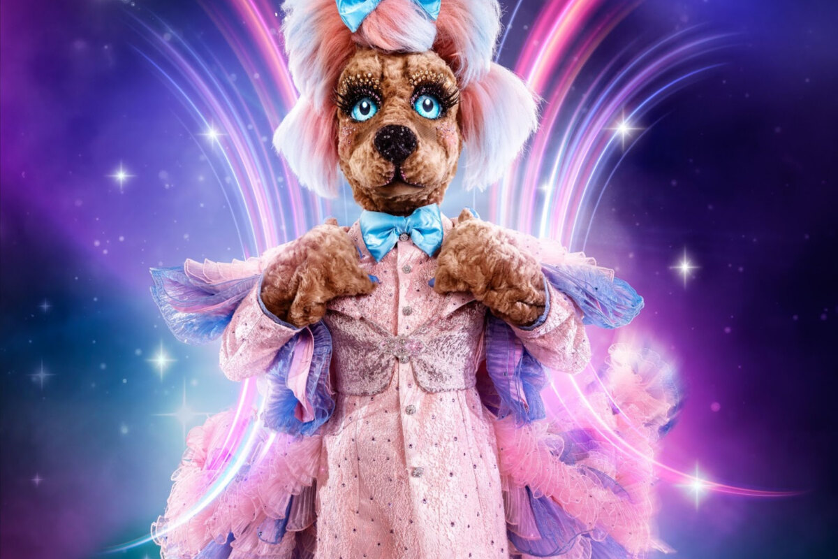 Strike a pose! Fashion designer Labradoodle stapt de catwalk op in The Masked Singer