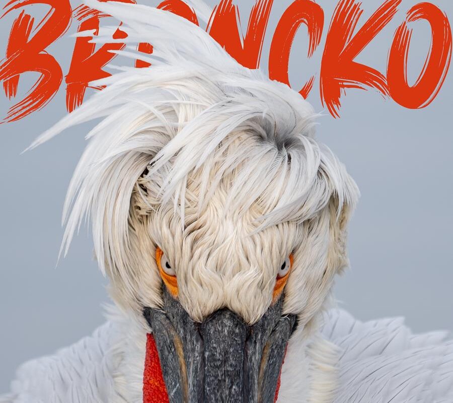 Broncko brengt met zangeres Stéphanie Onclin (The Voice) de nieuwe single ‘Moon and Stars’uit! 