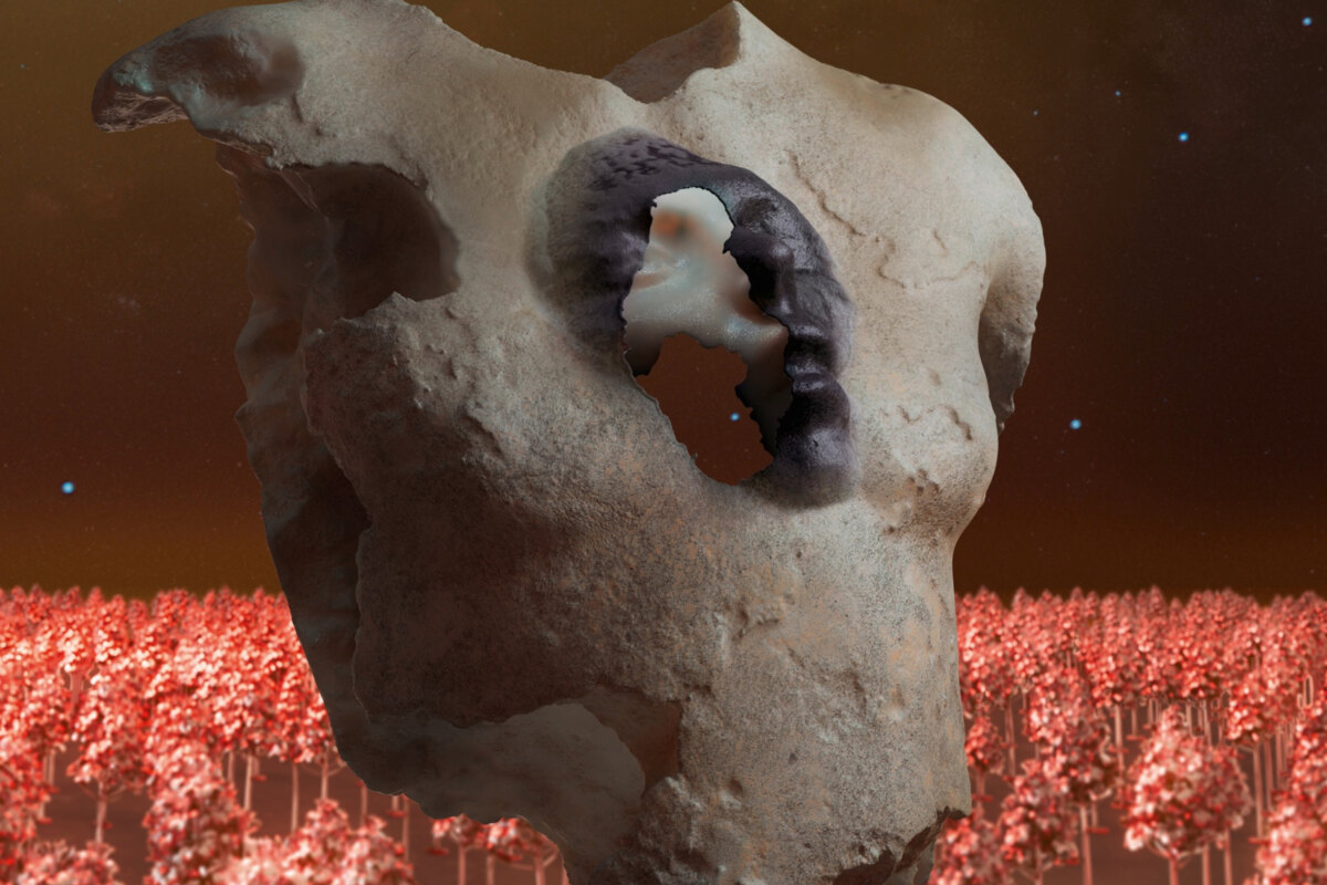 Soap&Skin shares new singe & video | new album 'TORSO' out 22/11