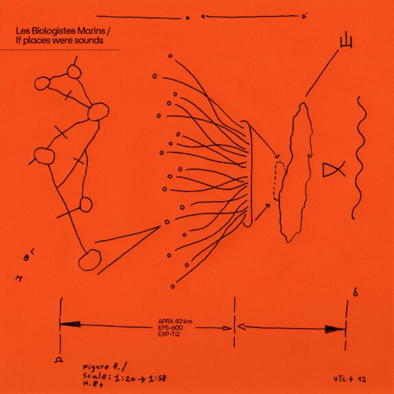Les Biologistes Marins live in Netherlands for two show: Amsterdam and Nijmegen  - The Italian ambient duo explores with their music the values of water
