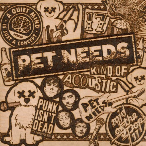 Pet Needs Announce 'Kind of Acoustic' Album + January 2025 Tour