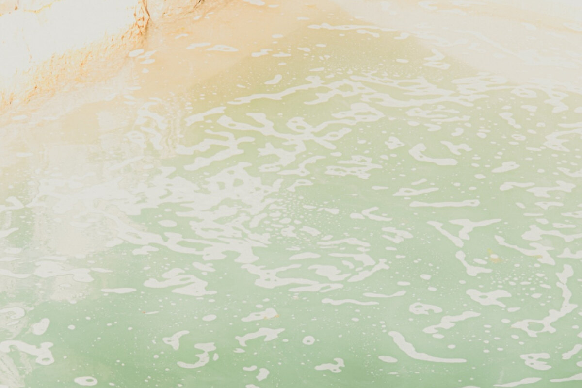 Obliecht' release their single "Coastline”; the EP “True Leaves” will be released on 24.01.25 via Irascible Records!