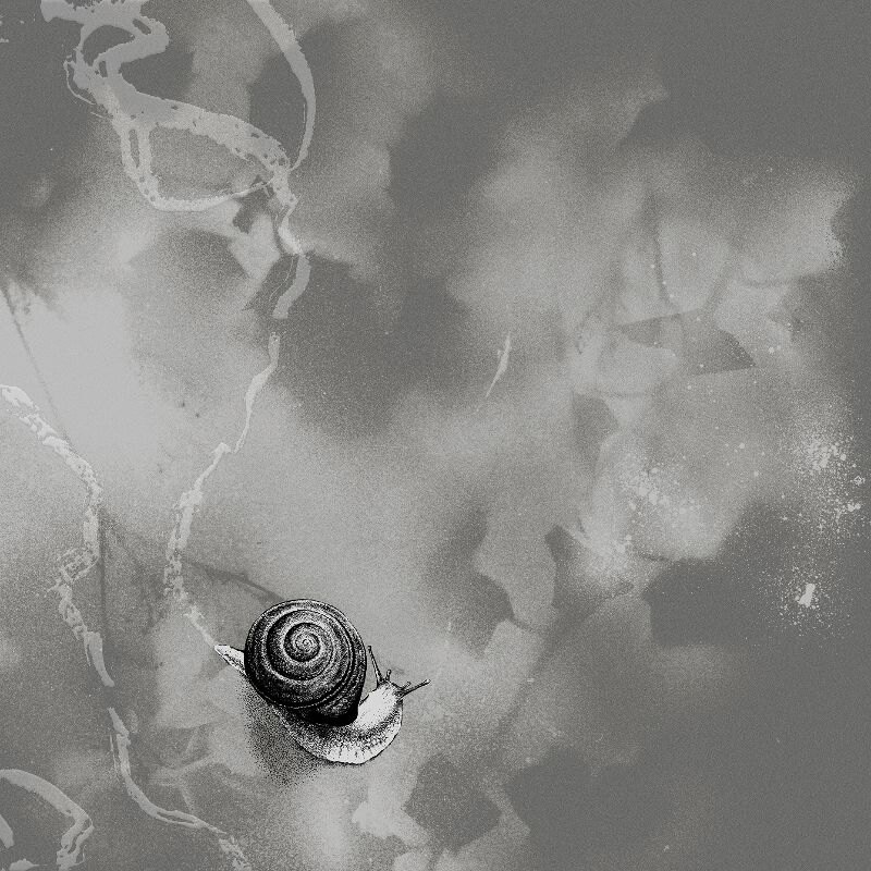 Rats on Rafts to release new studio album Deep Below