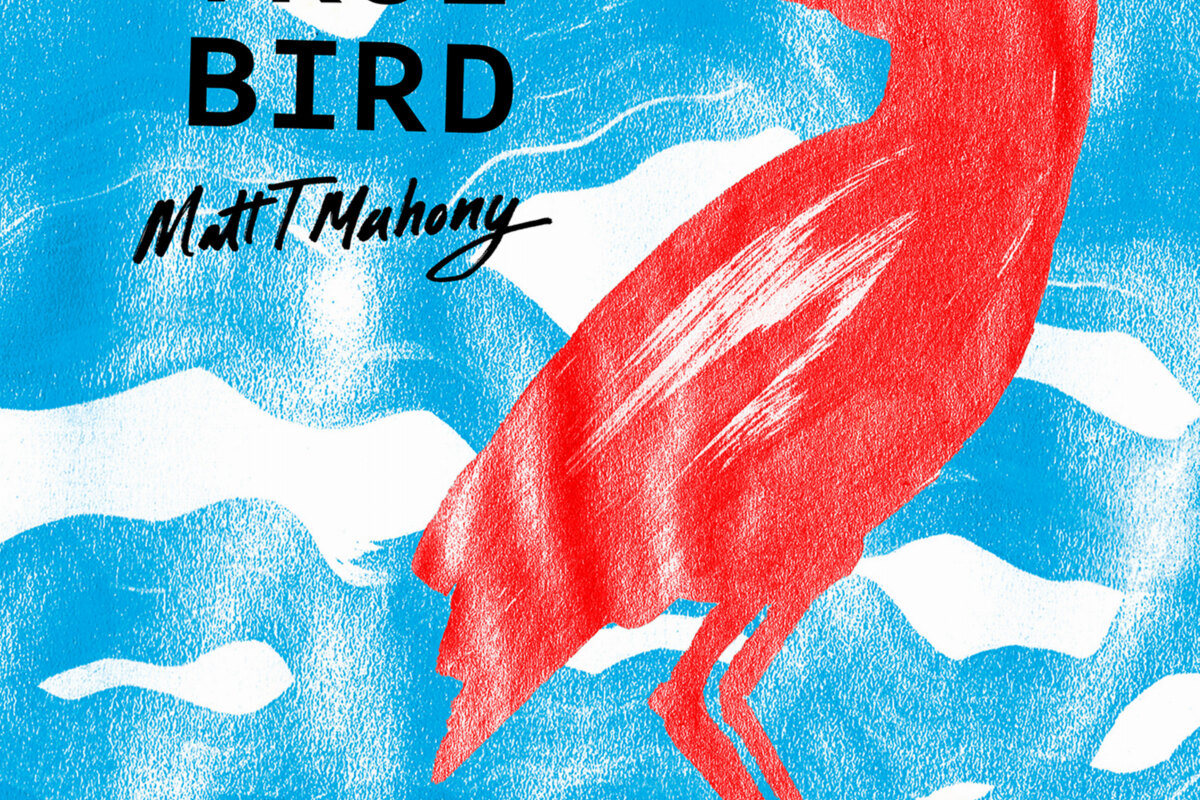 'True Bird', tweede single van nieuw album van Matt T Mahony.