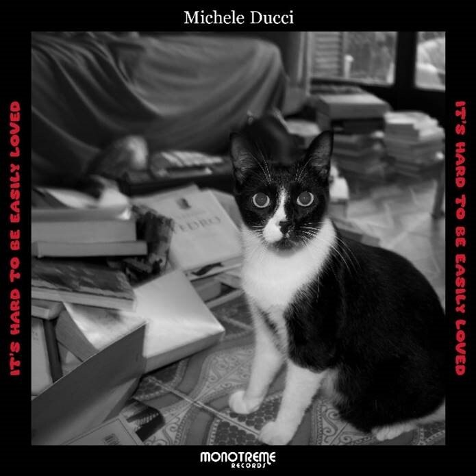 Softly purring vocals and pensive beauty on new Michele Ducci single 'It's Hard to be Easily Loved'