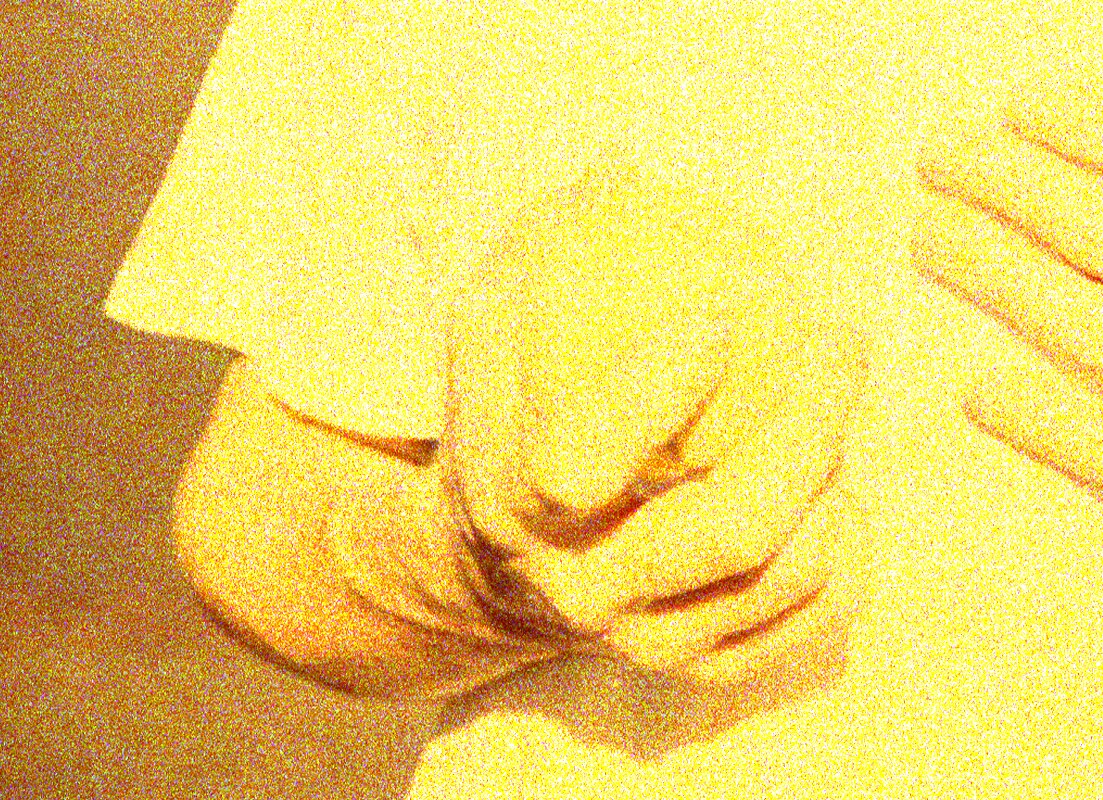 Stuffed Foxes (Stolen Body Rec, Reverse Tapes) announce new LP + release video & tour dates