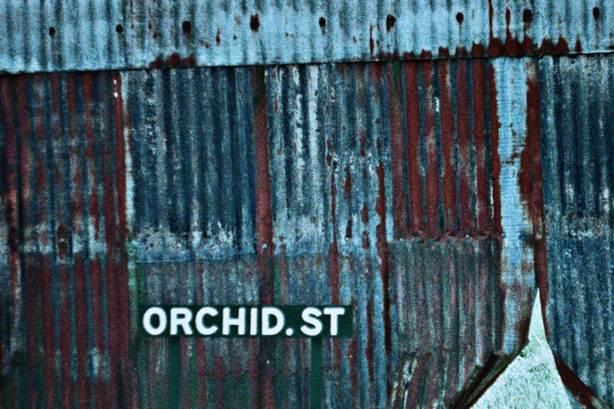 Arimea release music video for new single 'Orchid Street'