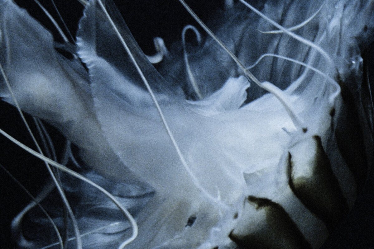 The Horrors release new track Lotus eater