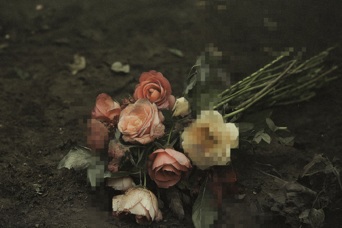 Kingfishr Ireland's Breakthrough indie-folk trio share new single The Saviour