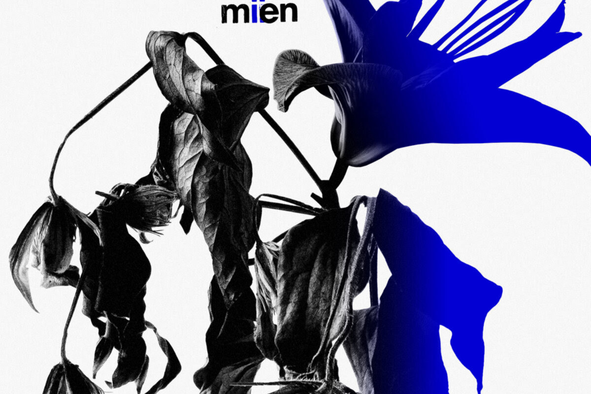 Mien (Fuzz Club) announce LP & share single