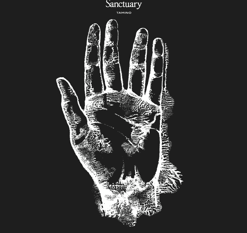 Tamino Releases ‘Sanctuary’, New Duet Featuring Mitski