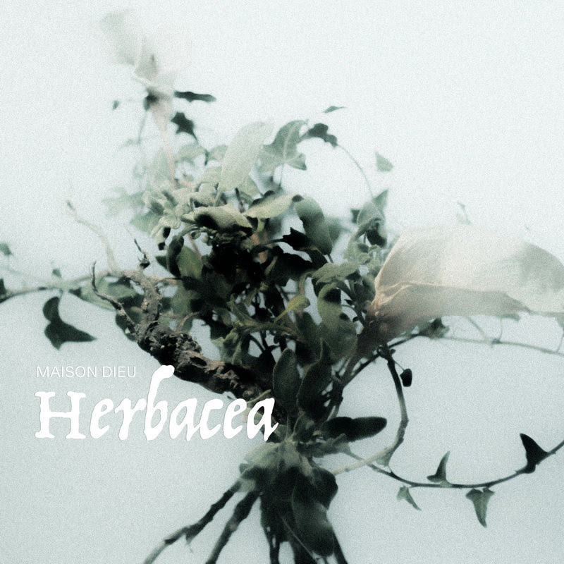 Maison Dieu (Ita) - Herbacea @ Mystic Doom