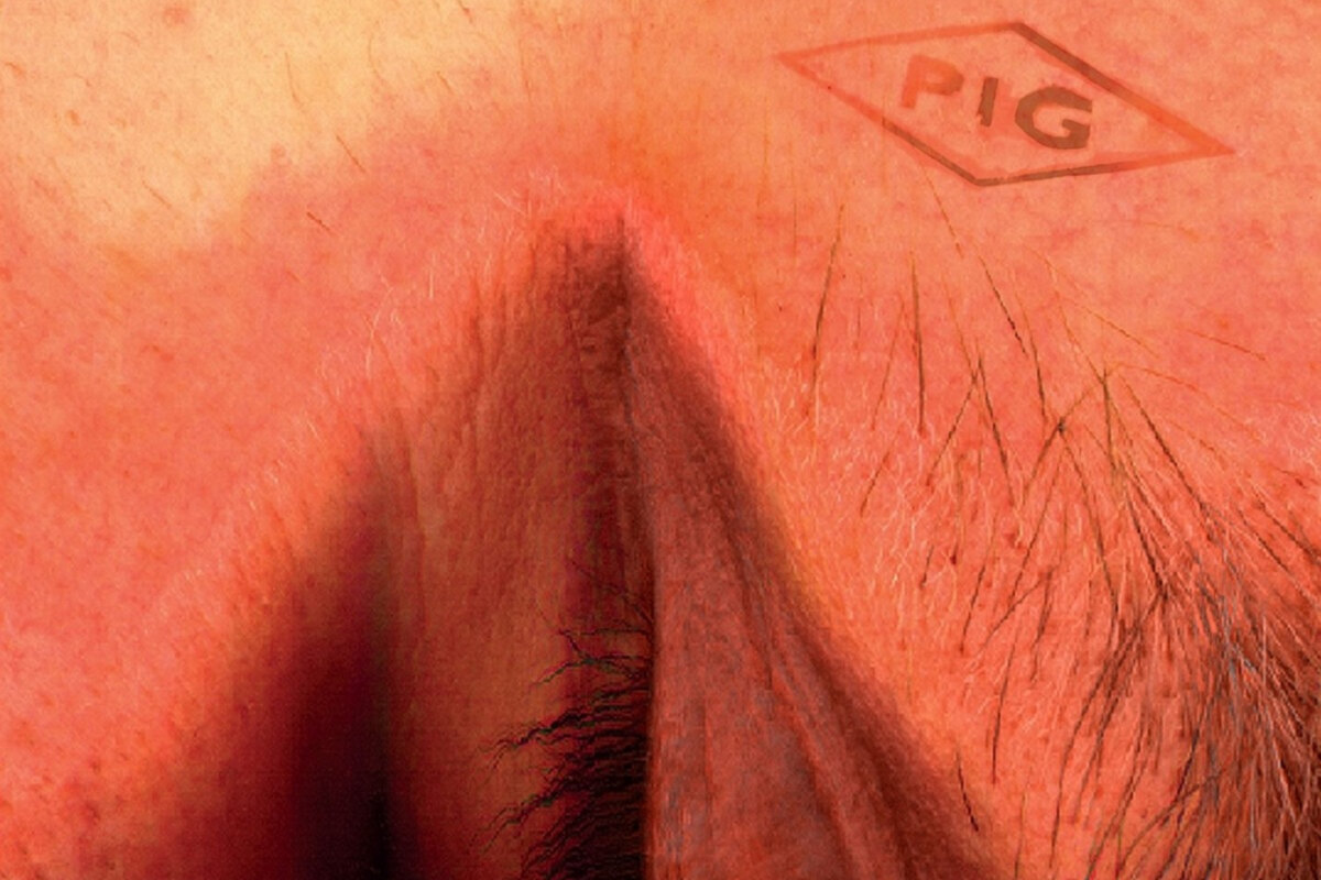 Pig: 'Wrecked (2024 remaster)' - reissue of 1996 album by UK industrial glam kingpin out 7th March 2025 