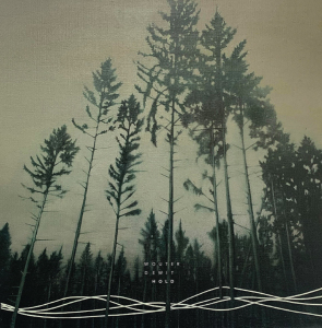 Wouter Dewit releases Hold