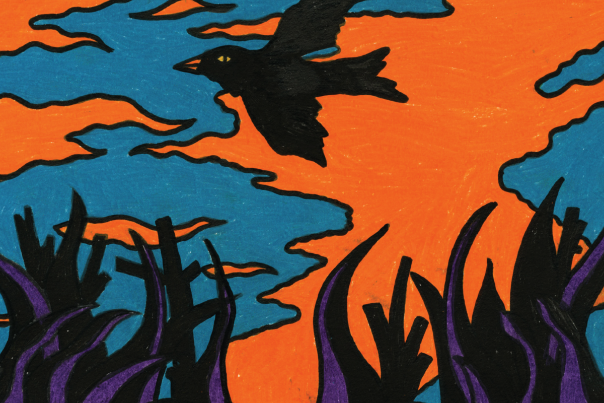 Marathon: debuutalbum Fading Image nu uit!