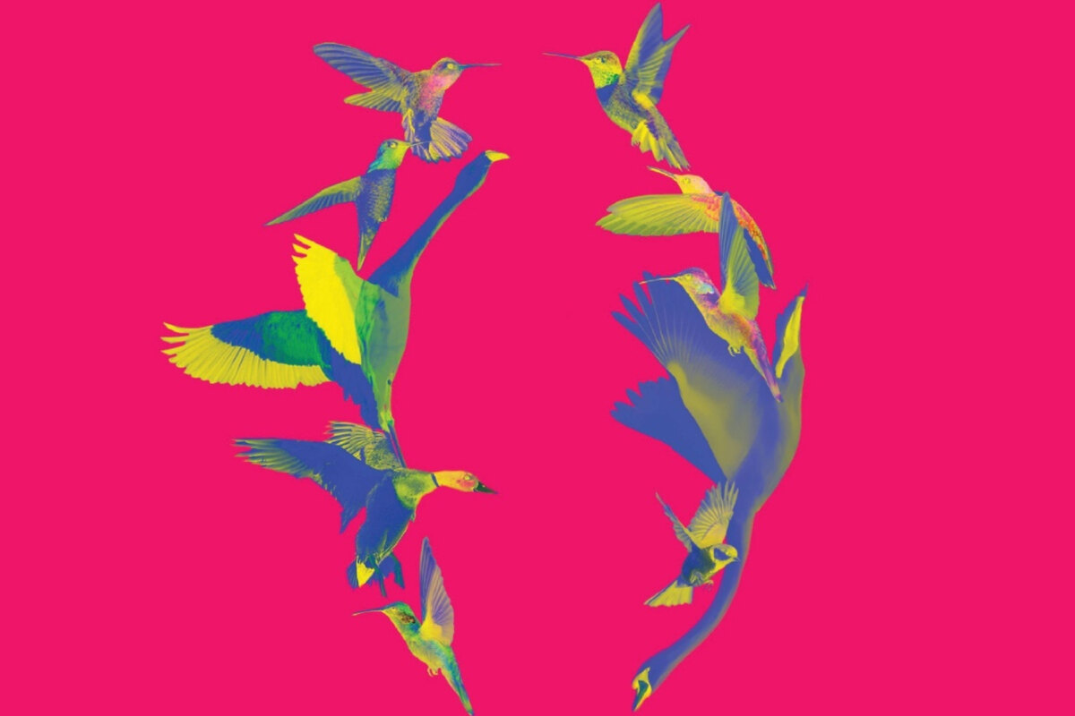 French Noisy Pop Rock Quartet Mauvais Sang Releases New Album!