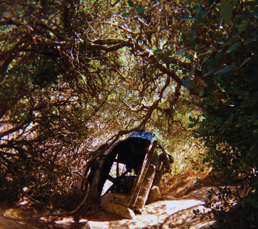 Ty Segall Shares Title Track Of His Upcoming Album "Possession" - out 30 May via Drag City