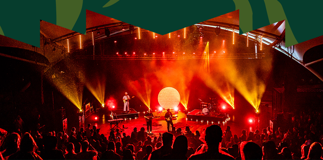 Programma Zuiderpark Live 2025 compleet