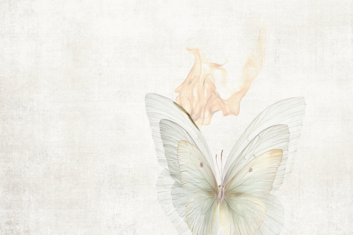 Velvet Moon releases new Album Endless War In The Summer an