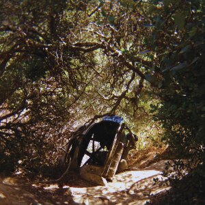 Ty Segall releases Possession