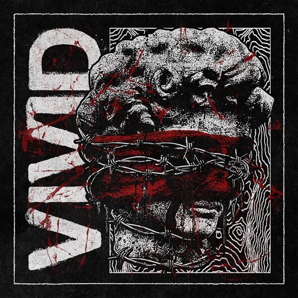 Stray View Deliver Venemous New Anthem: “Vivid”