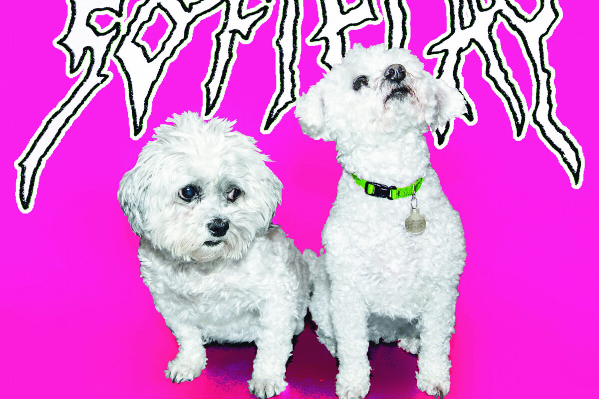 Soft Play celebrate their debut album with the 10th anniversary release of ‘Are You Satisfied?' on August 29th !