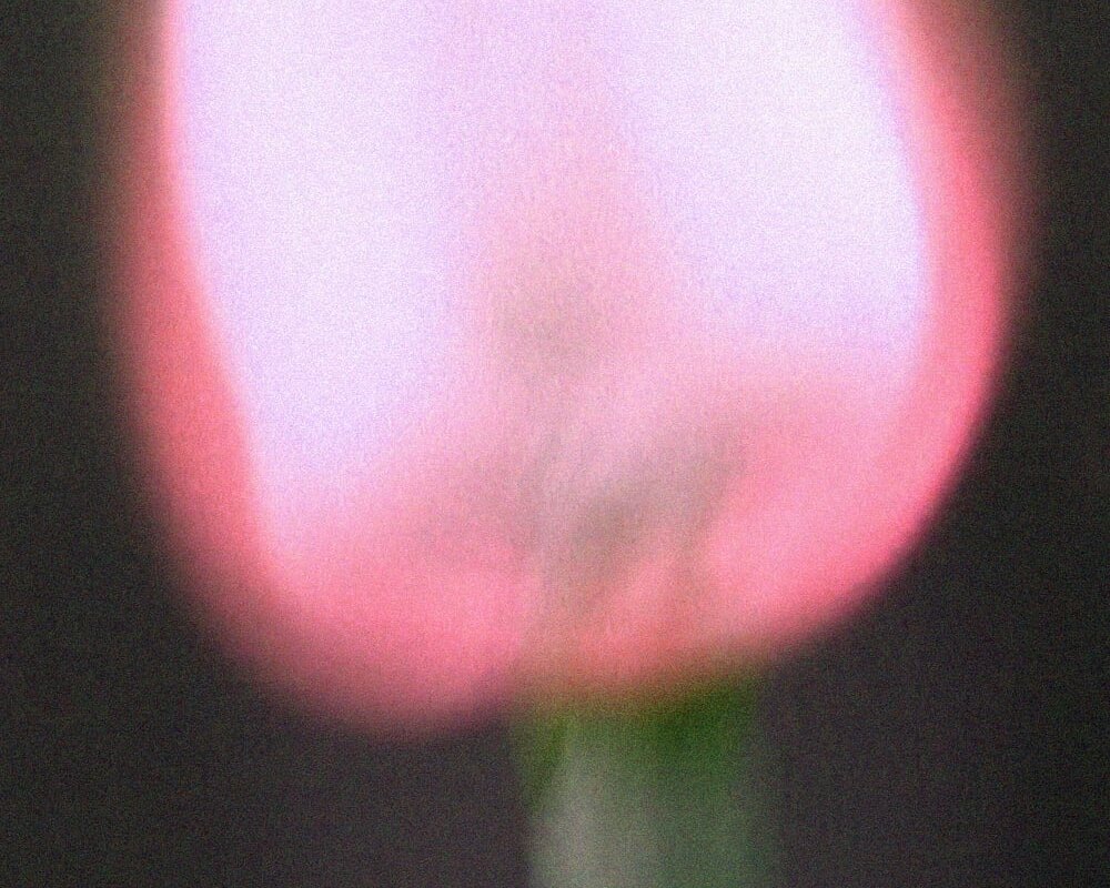 London artist & NTS Radio resident Kit Grill shares sublime new single Red Dances - RIYL Mica Levi, John Roberts, Sofie Birch