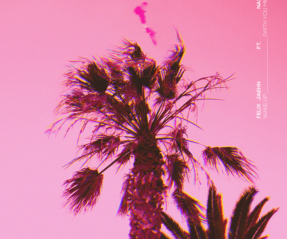 Felix Jaehn and NASRI present a new summer dance track ‘Wake Up (With You Mine)’