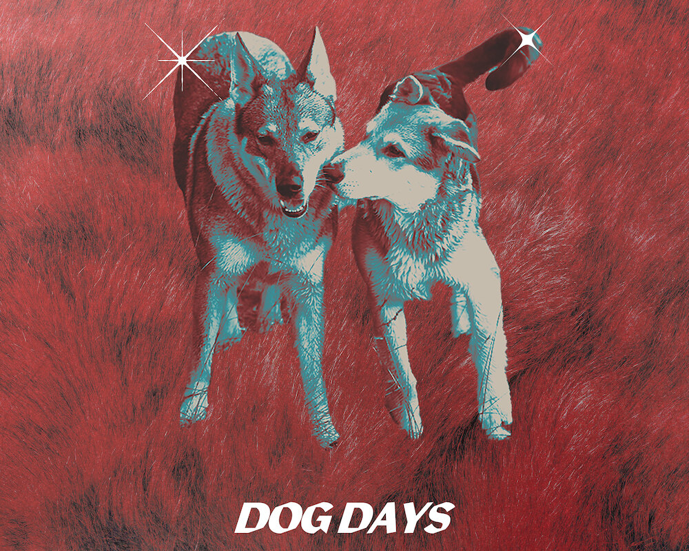 Krooked Tongue share new single 'Dog Days' taken from their upcoming debut album