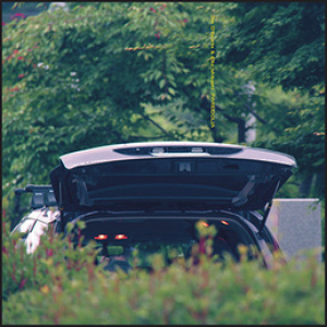 Eiko Ishibashi & Jim O'Rourke releases Pareidolia