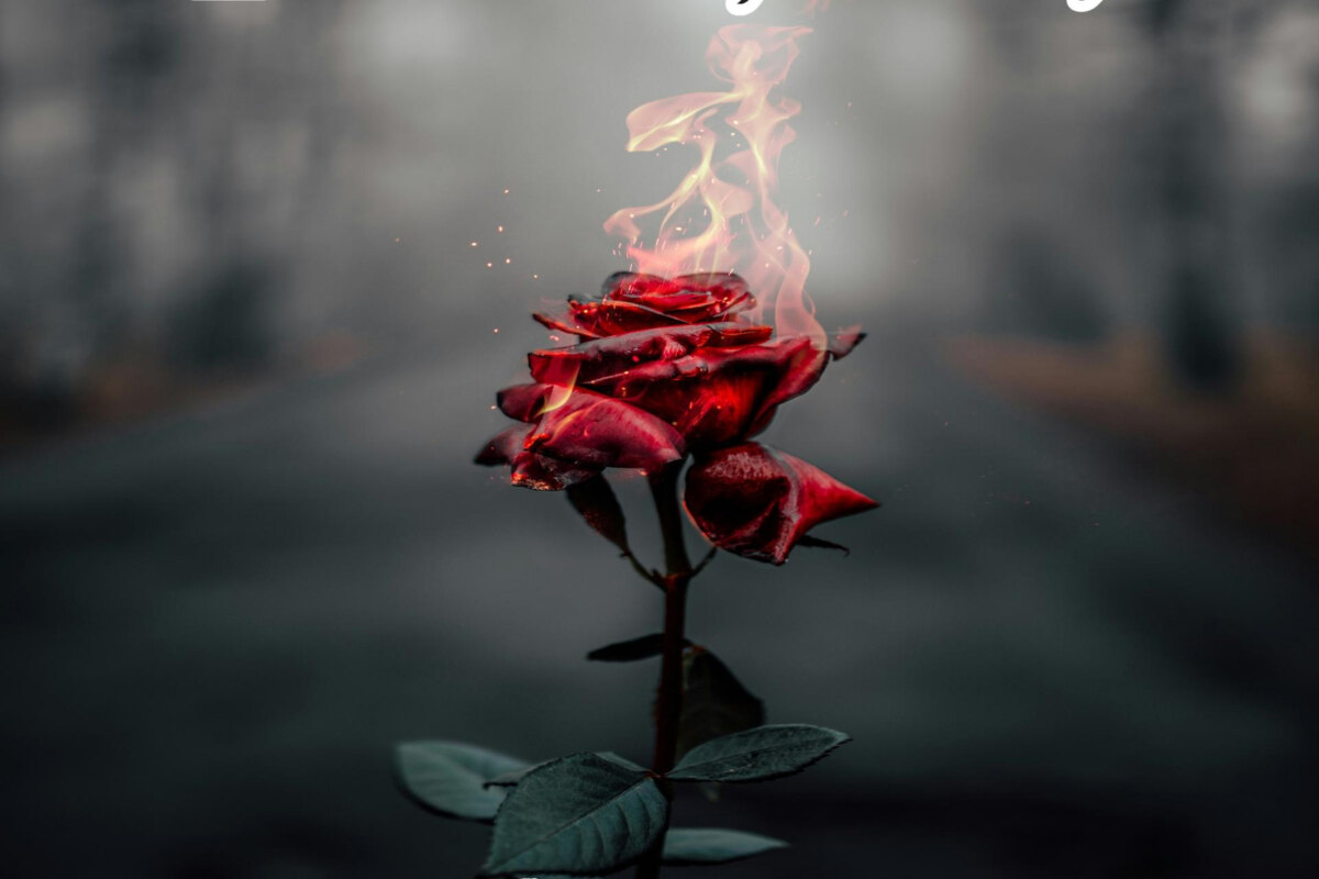 Blacklist Union Release New Single "Dyin' 4 U"; New Full Length Album "Slay The Dragon" Drops 9/12