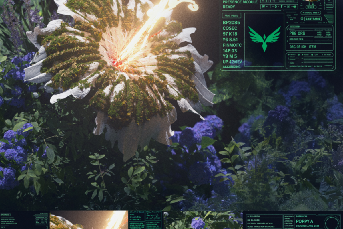 Star Seed Strikes Balance Between Zen and Chaos on Energizing, Genre-Melding Melodic Bass Single "Transcend" on Heaven Sent